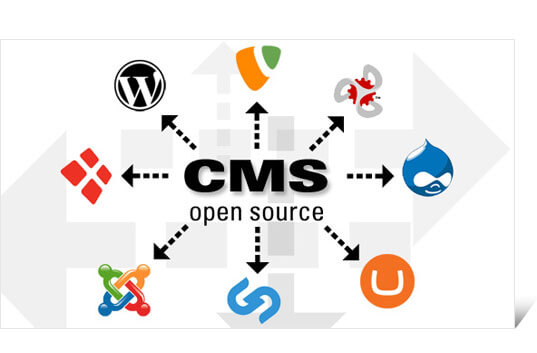 What should You Know Before Selecting a CMS?