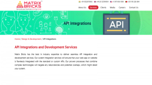 api app development company