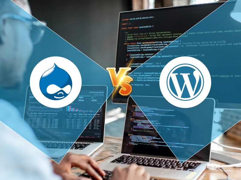 Drupal vs WordPress Which CMS Platform is Good for You