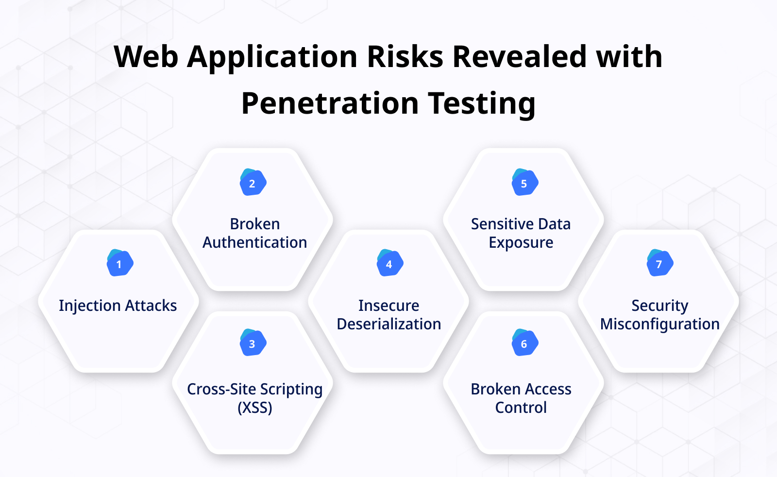 Web Application Risks Revealed with Penetration Testing