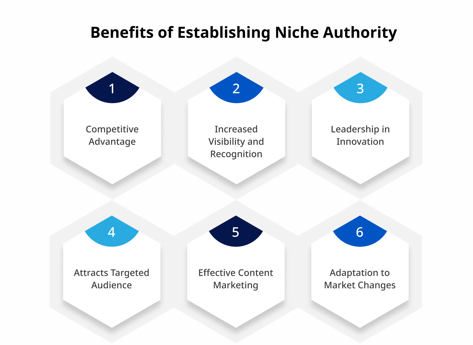 Benefits of Establishing Niche Authority