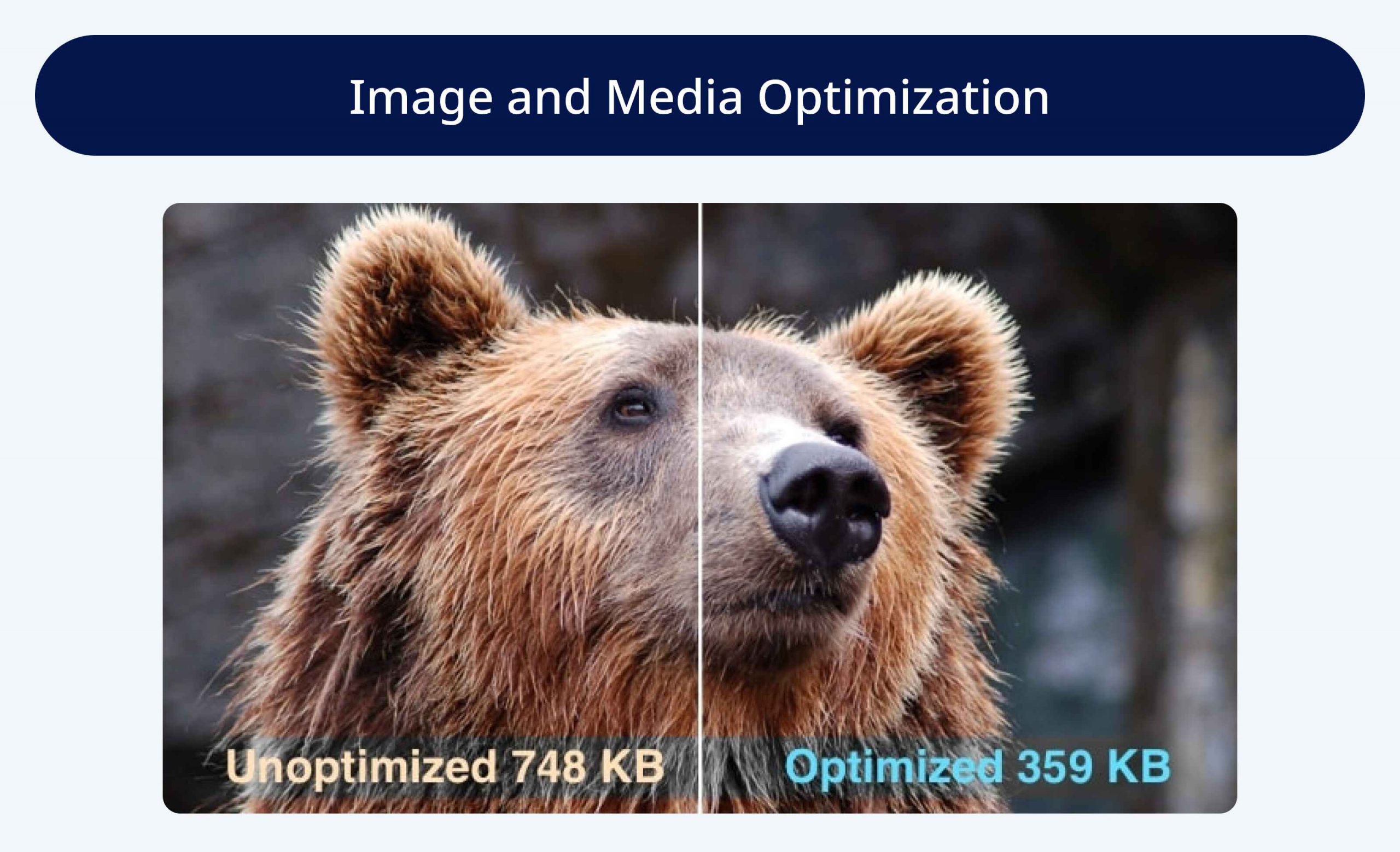 Image and Media Optimization