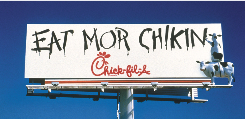 Chick fil A Cow Campaigns
