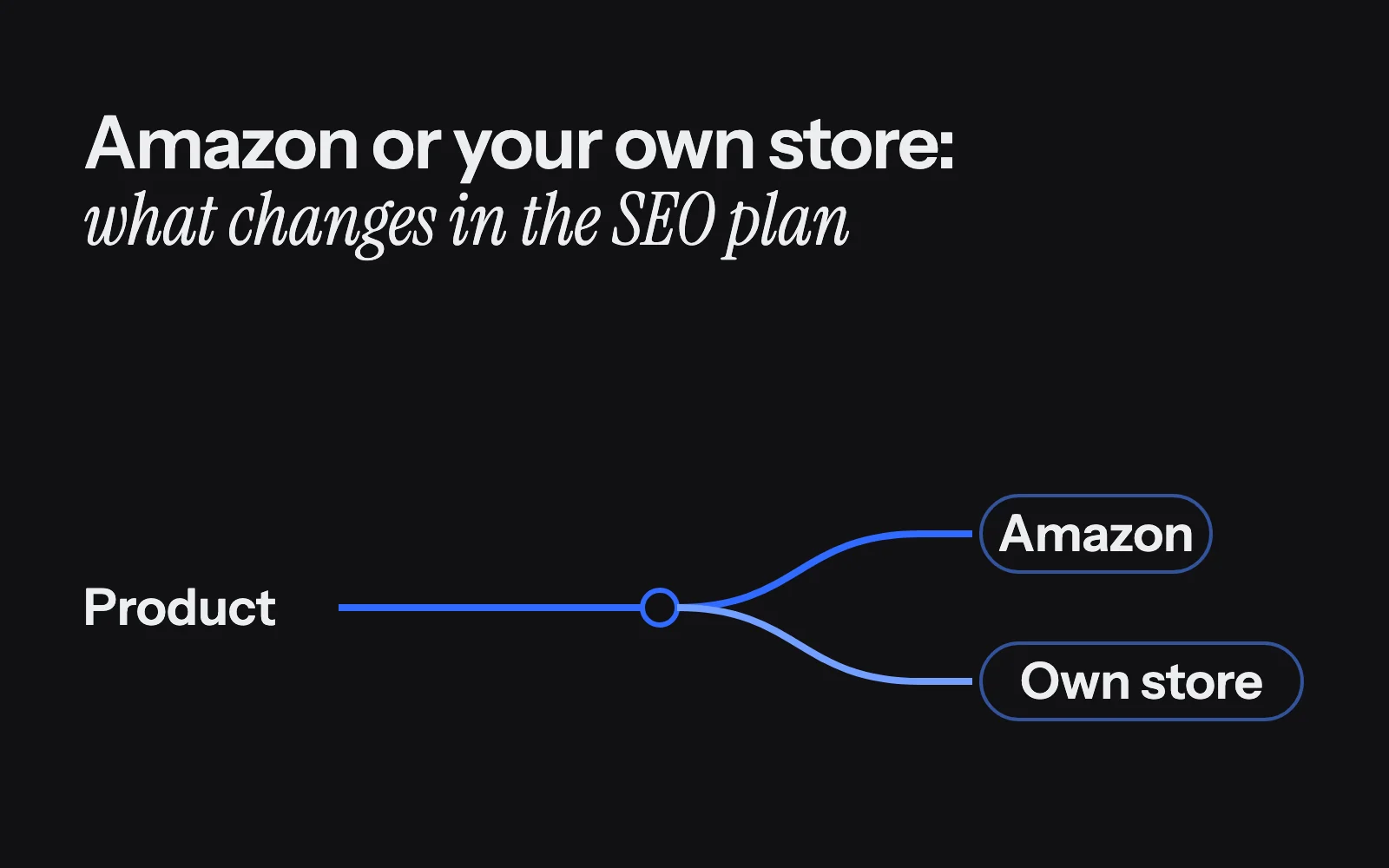 What actually changes in an SEO plan when you sell on Amazon vs your own store