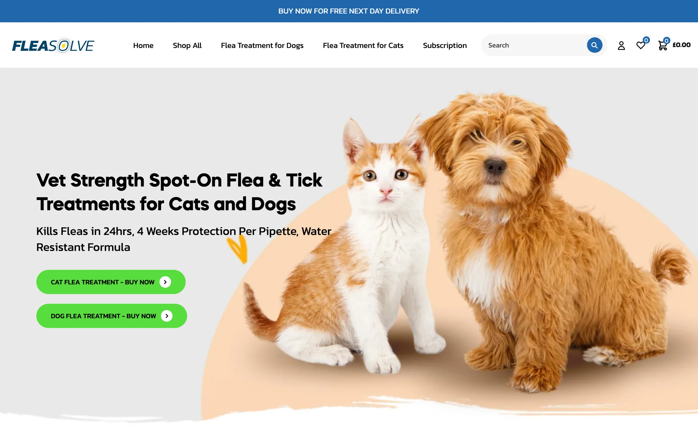 FleaSolve homepage on desktop: a kitten and a puppy beside the headline 'Vet Strength Spot-On Flea & Tick Treatments for Cats and Dogs' with two green Buy now buttons