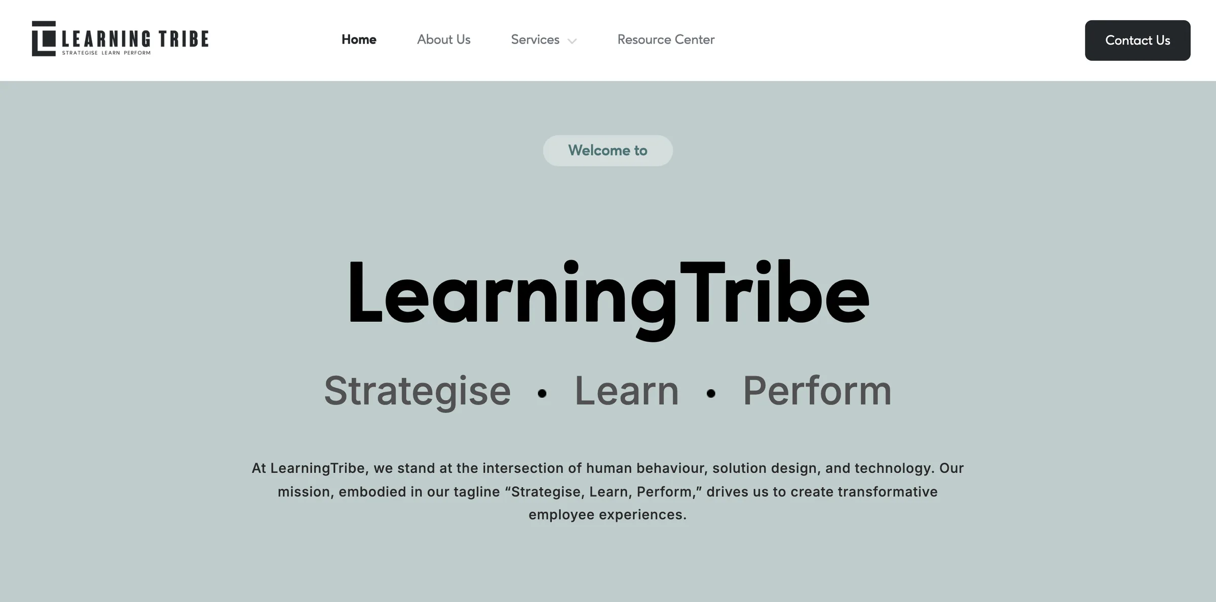Learning Tribe homepage on desktop: the LearningTribe wordmark and the tagline 'Strategise, Learn, Perform' on a slate background