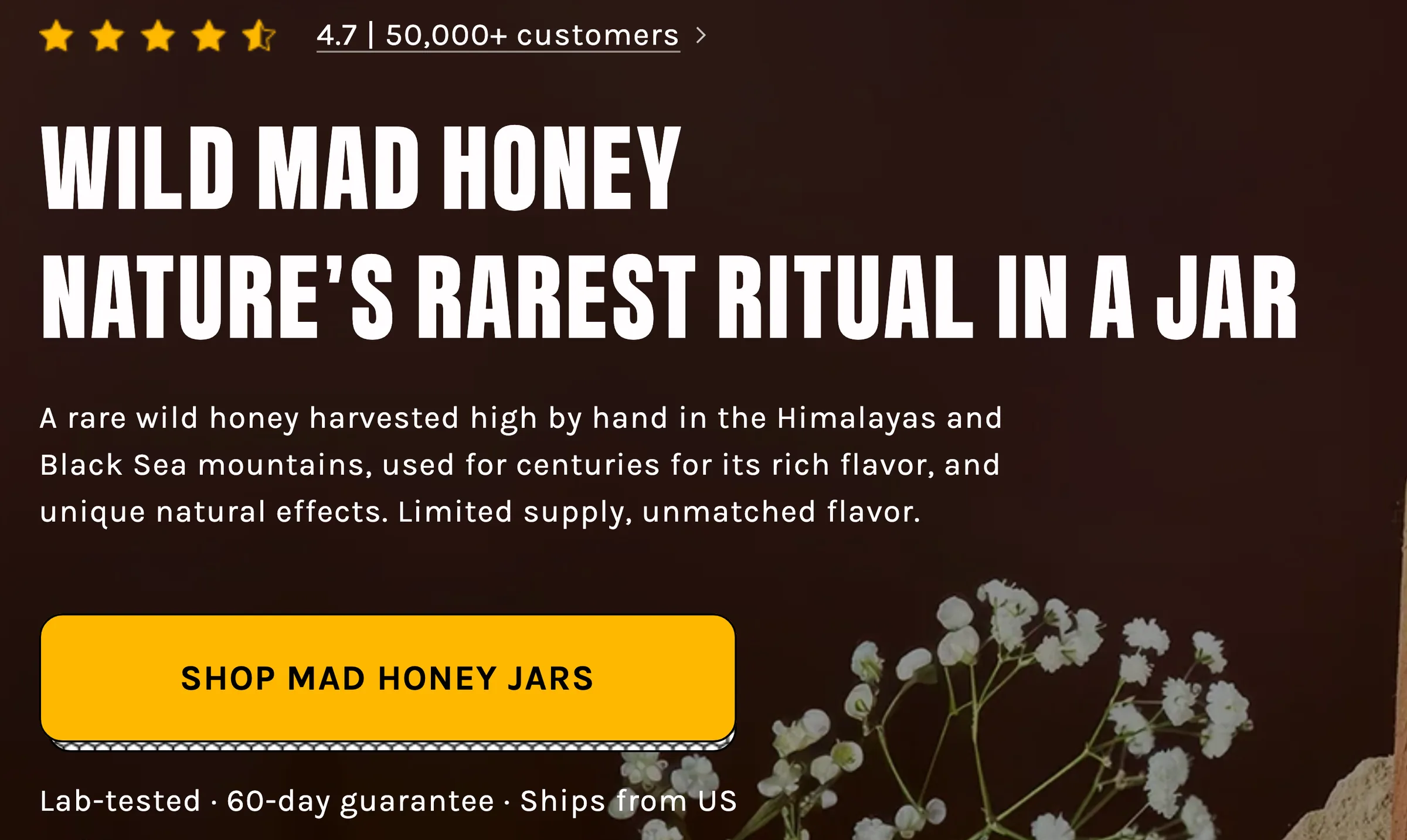 Close-up of the homepage headline 'Wild mad honey, nature's rarest ritual in a jar' in condensed white capitals