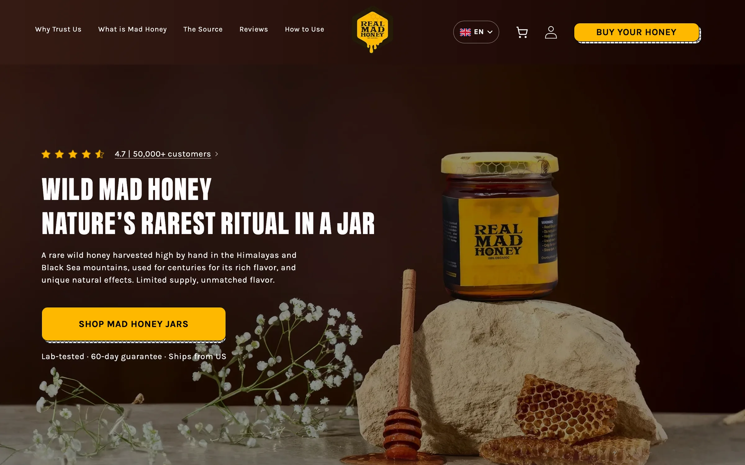 Real Mad Honey homepage on desktop: a jar on a rock beside honeycomb and a honey dipper, under the headline 'Wild mad honey, nature's rarest ritual in a jar' and a gold Shop mad honey jars button